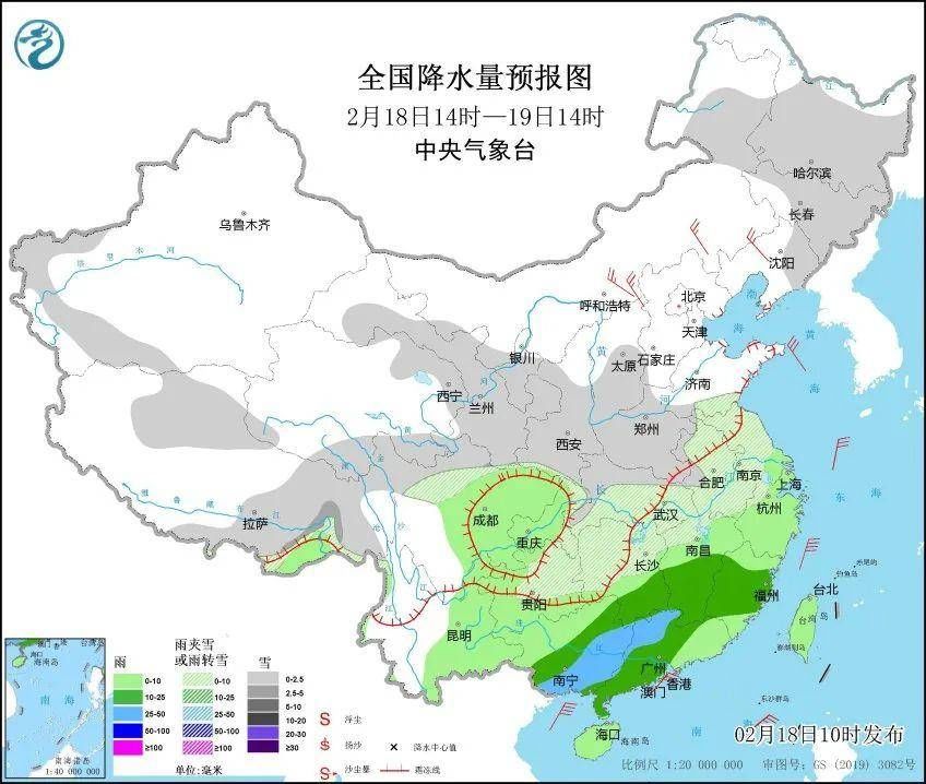 下雪|枣庄下雪了！一组高清组图隔屏看雪