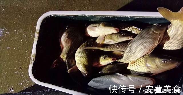 散炮|收费鱼塘钓鱼,掌握5个知道,3条垂钓技巧,多钓鱼不难
