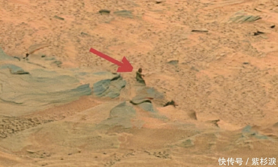 照片 火星探测器传回神秘照片，科学家：希望不是真的！