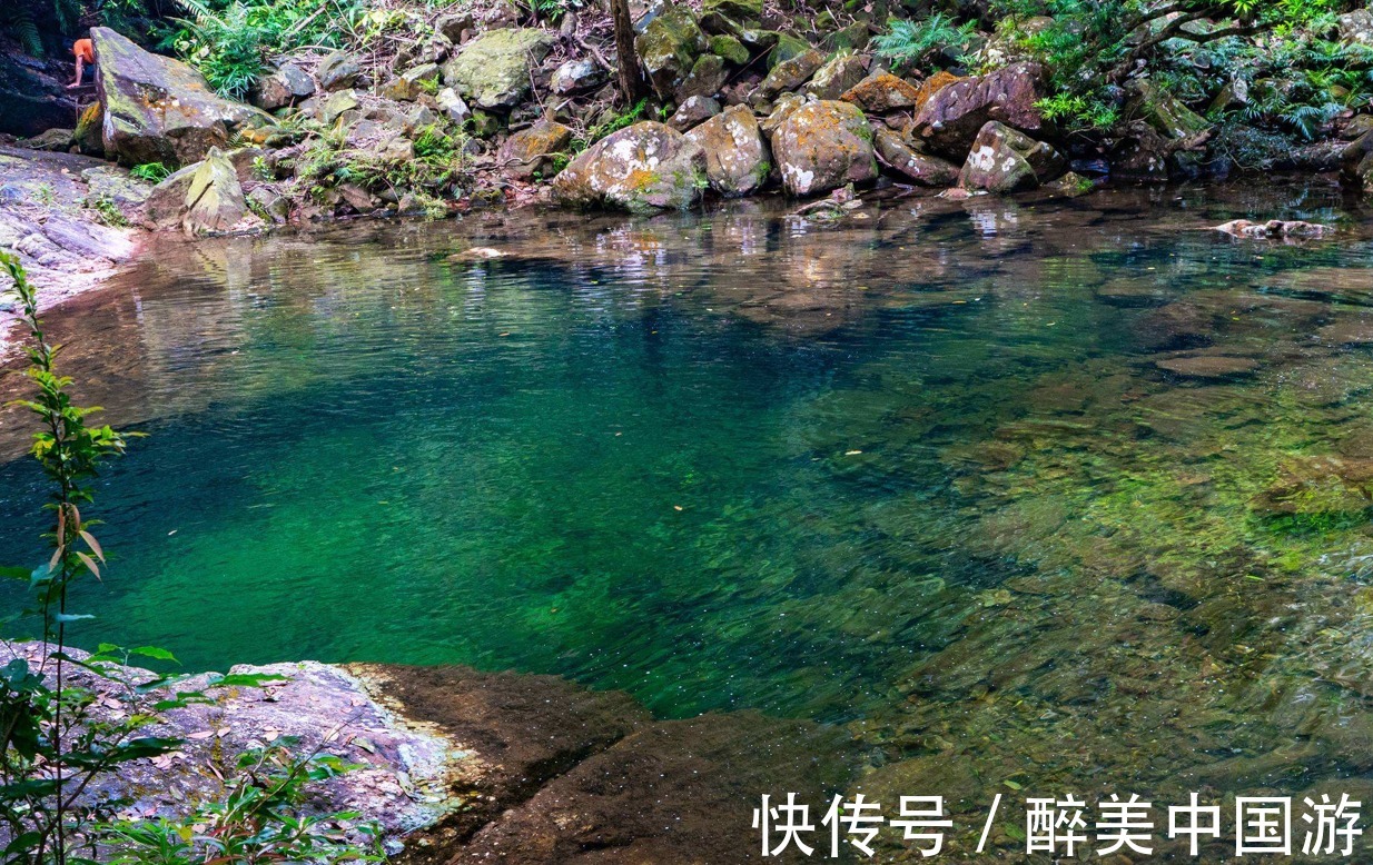 周而复|游览八寨沟，树木葱茏，溪流潺潺，景色秀丽