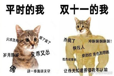 消费者|监管部门提醒：消费者不可迷信“双11”的“价格优势