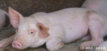 姓氏的人|日本有2个姓氏,一个是“猪口”,另一个很特别,叫人就像骂人