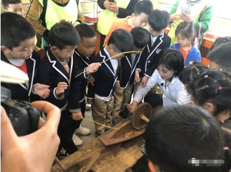 川西|芒种麦秋而稻禾青青来芦山肆意撒欢