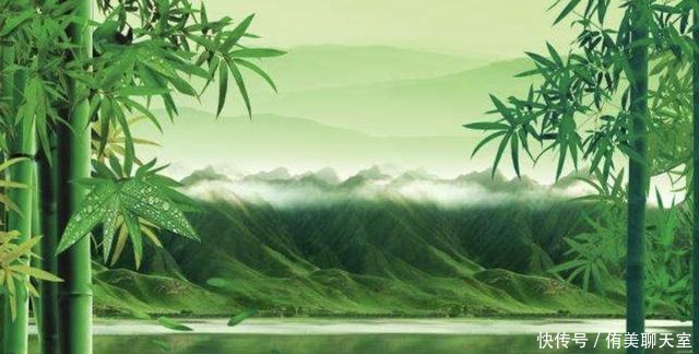 文人|宁可食无肉,不可居无竹:文人为何如此喜欢竹子?