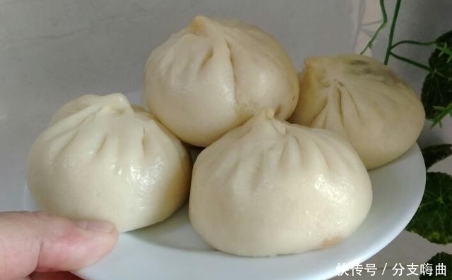 好吃|美食;包子,中国最好吃的18种包子,馋死你
