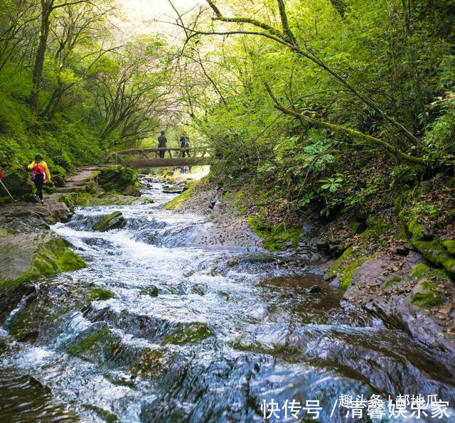 游客|我国最年轻的景区之一，来宁夏不来这里游客大呼很遗憾