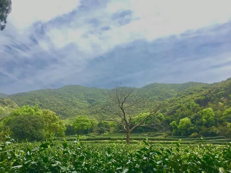 行游泗洲头山海之间，偶遇一个水灵灵的美丽乡村