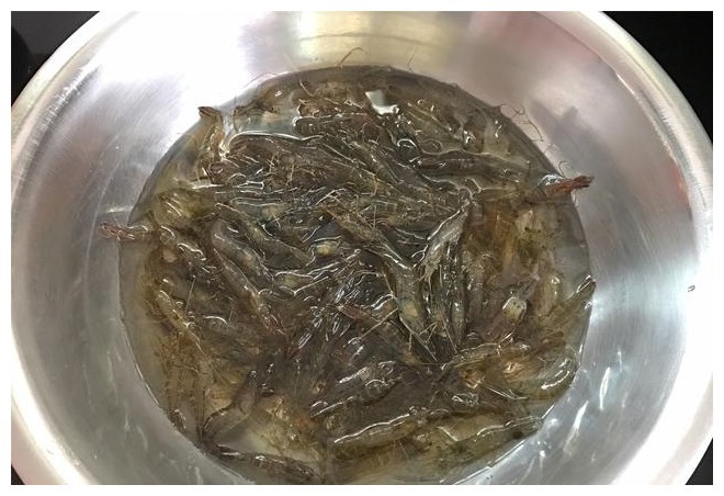 小河虾最具特色的做法,炝一炝就好,端上桌,10分钟光盘