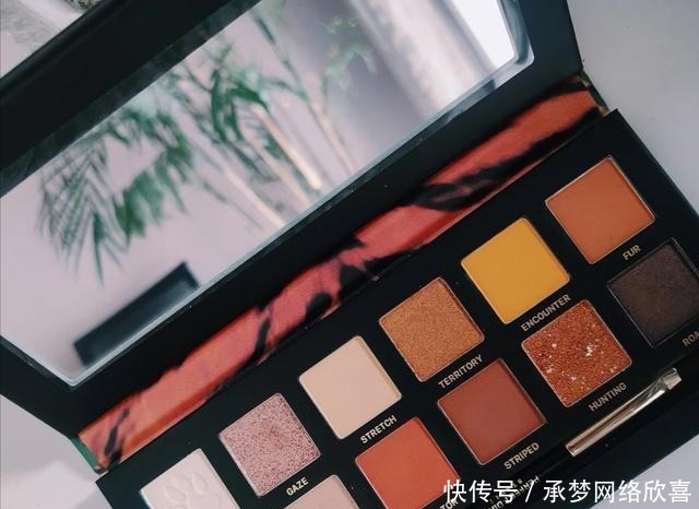 几款好用不贵的眼影盘分享,实用又百搭,每个颜色都很美