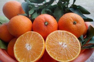 人体|女性不想早衰,不妨多吃此食物,排毒清肠,刮油消脂,赶走小肚腩