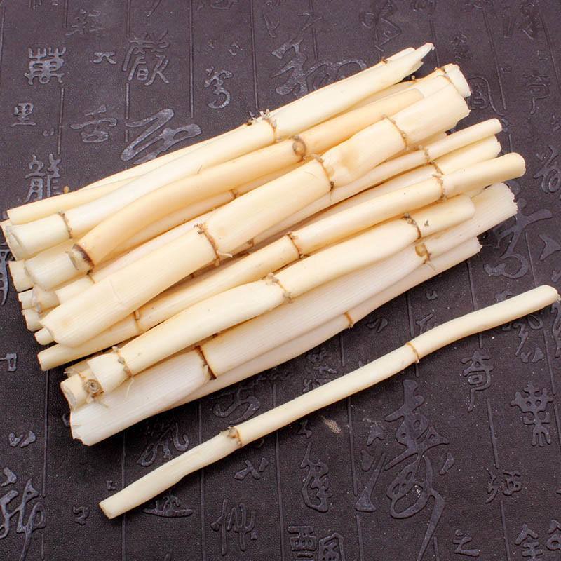 银翘|“芦根煮水喝”,过去农村治感冒发烧的土办法,简单管用!