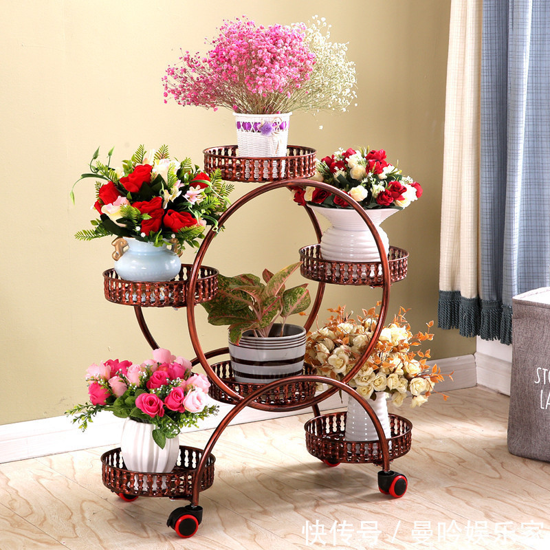 橡皮树|杭州发现一户人家阳台,太惊艳了,像御花园一样美,拍给大家晒晒