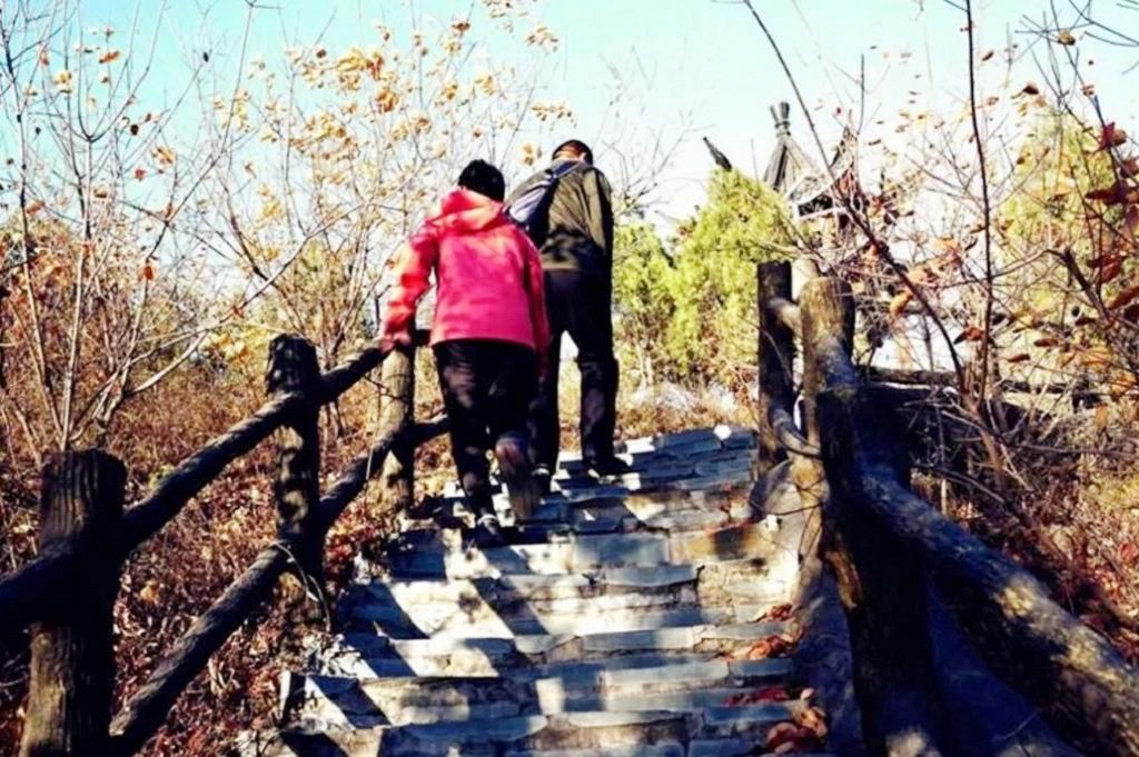  重阳节|重阳节为什么要登高呢？古代重阳节“登高”背后的寓意