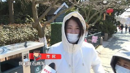 花开|迎春花开 欢度安静祥和年