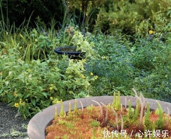 任何容器都能用来做花盆,请收好这30种美丽的花盆搭配设计