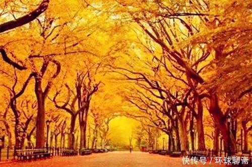 古典君|断鸿渺渺空银海,疏雨潇潇满玉楼;八首七律诗,已是天凉好个秋