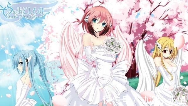 萌战|后宫动漫吧史上最惨萌娘,陪跑萌战11年,仍无缘萌王称号