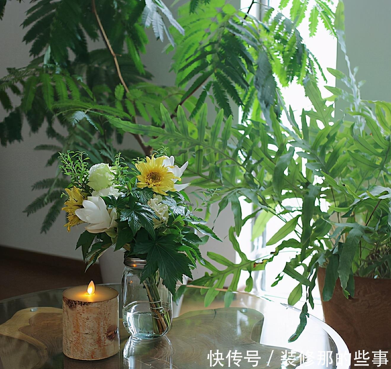 小两口之家,全屋布满绿植鲜花,把生活过成了诗,太美太治愈了