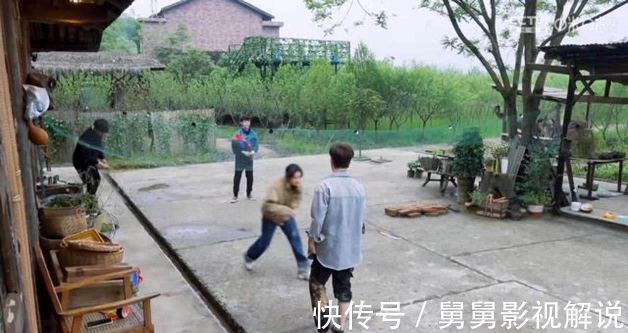 向往的生活5|《向往的生活5》何炅等人抓泥鰍,張藝興害怕,想出妙招應(yīng)對?