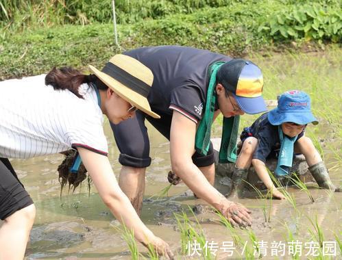 嗯哼|若孩子从小有这四种表现,说明父母把他养很好,将来更容易成才!