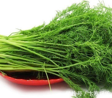 香丝菜|女性常吃此物,排出子宫污血,远离妇科炎症,肌肤更嫩滑,效果好
