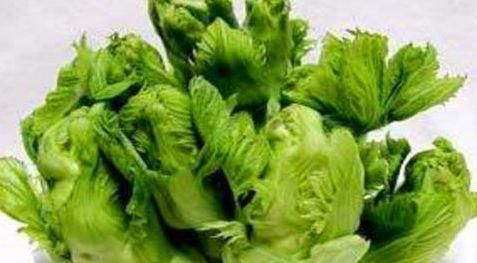 美容护肤|女性养生，常吃4种食物，排毒抗衰，美容护肤，不容错过