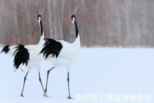 子女|过了60,自私的父母最伟大!此文很有意义,希望中老年人认真读读