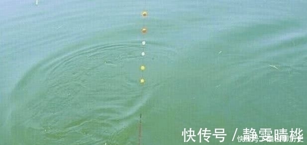 七星漂钓鱼有何优势?了解这些过后,你会对七星漂有一个新的认识