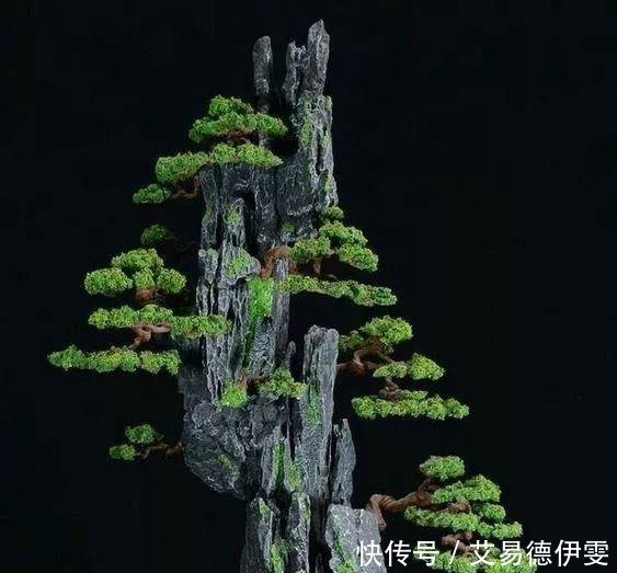 大爷用石头来养花,越养越值钱,有人出1000块也不卖!