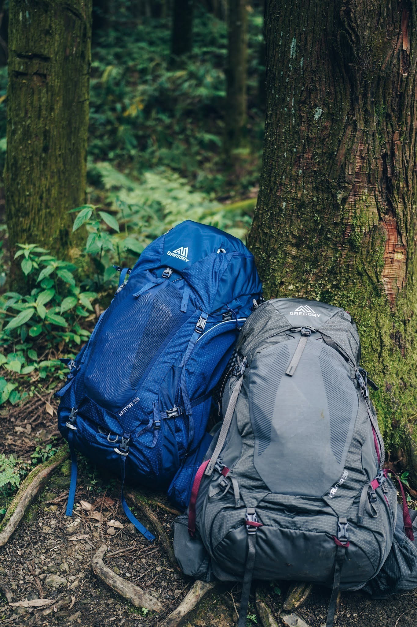 收纳|适合登山的大牌背包品牌,Gregory格里高利新款背包实测体验