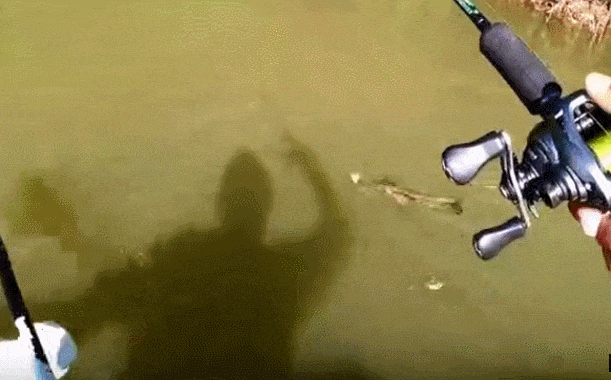 男子选这样的地方钓鱼, 划着艇子随便抛竿都有鱼追饵