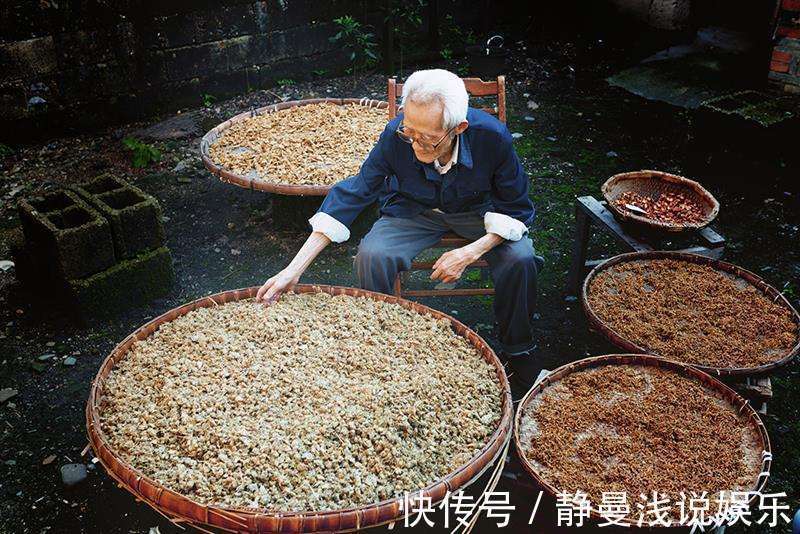 山东中草药手册|退休老药师“以筋治筋”的方子!一味药,治周身筋骨疼,请你品味