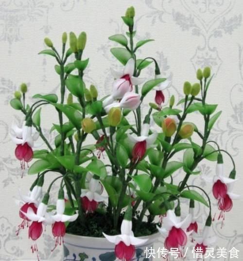 3种花让人爱不释手,香气怡人,漂亮似牡丹,养护容易