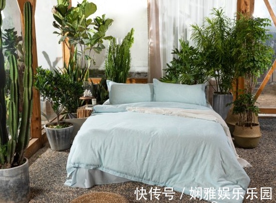 面料|买床单被套,“全棉”和“纯棉”有何区别?看完后别再傻傻分不清