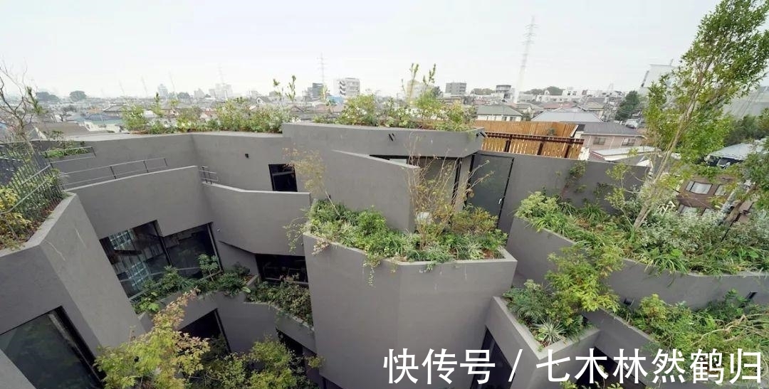 施工方|日本396㎡混凝土别墅，设计完美，施工方却怒斥：太难了