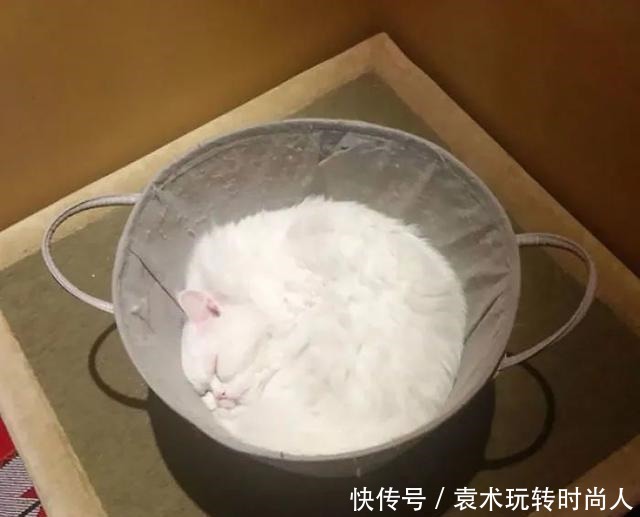 图片|20张“奇特”的图片,看错一半的人,一定是个吃货