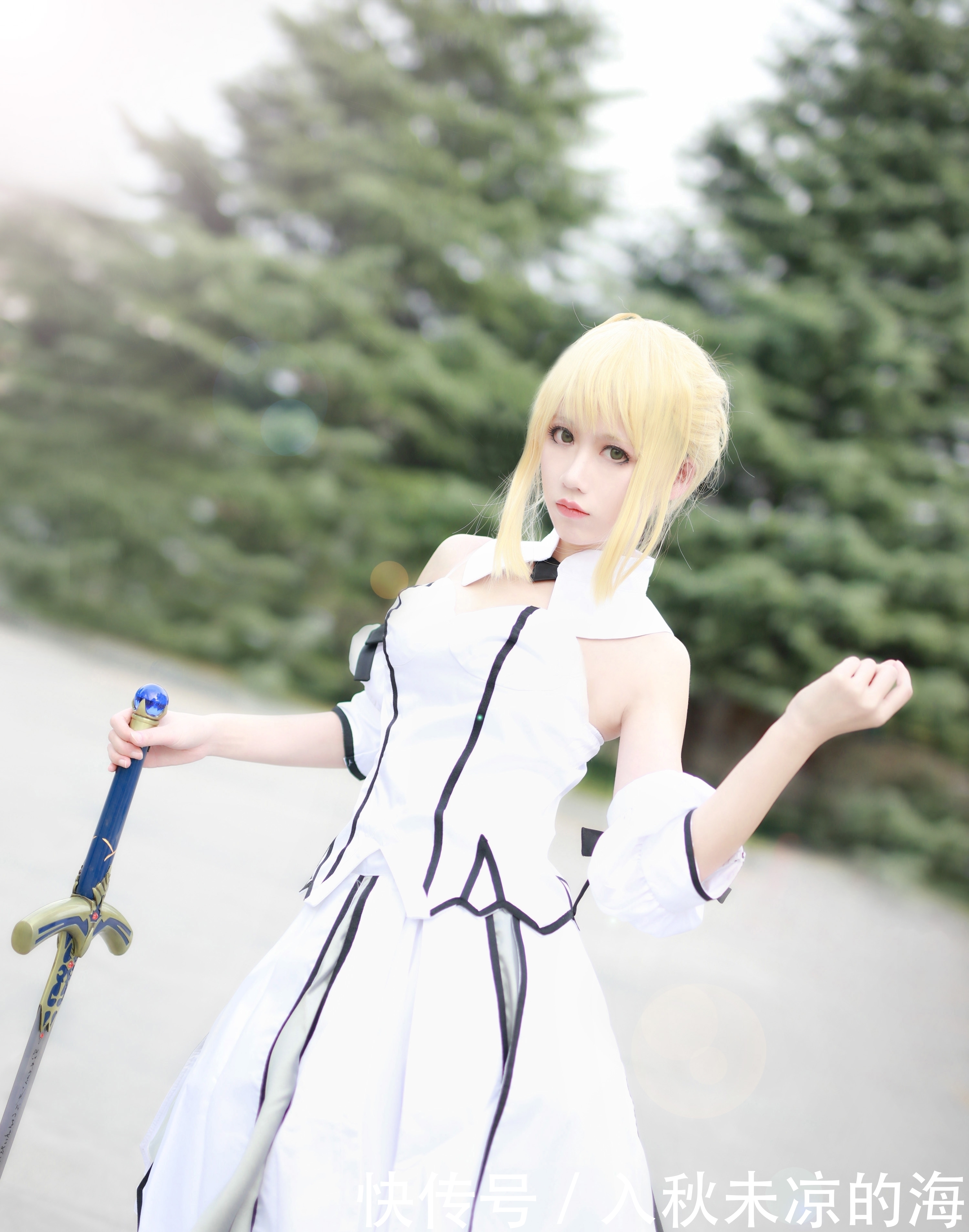 a8341|【cos正片】Saber Lily