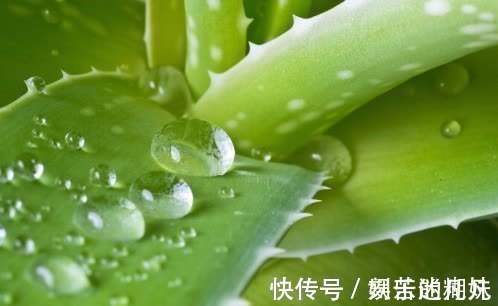 芦荟|便秘的源头找到了!牢记3大解决方法,大便一通到底