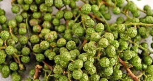 最好吃的鱼,营养是甲鱼8倍,16块钱一斤,比肉便宜无人买