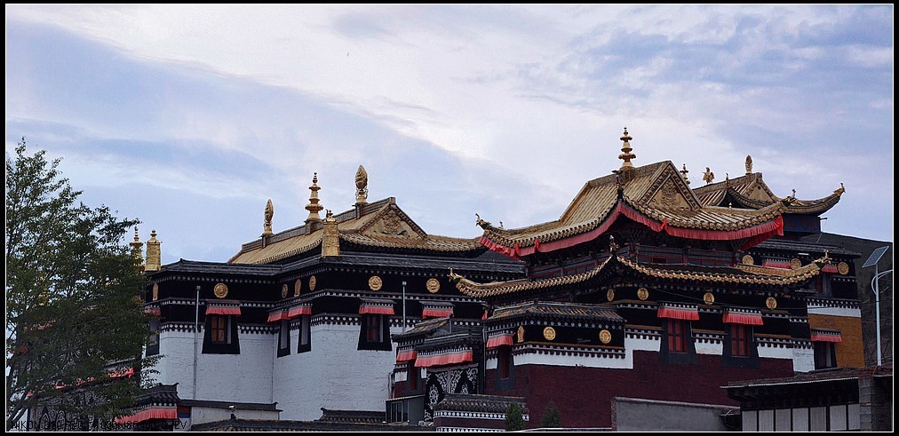 无言的凝眸——作者:罗曼丽