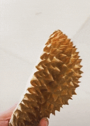 |搞笑GIF：女孩出门一定要注意 别被人偷走东西了都不知道