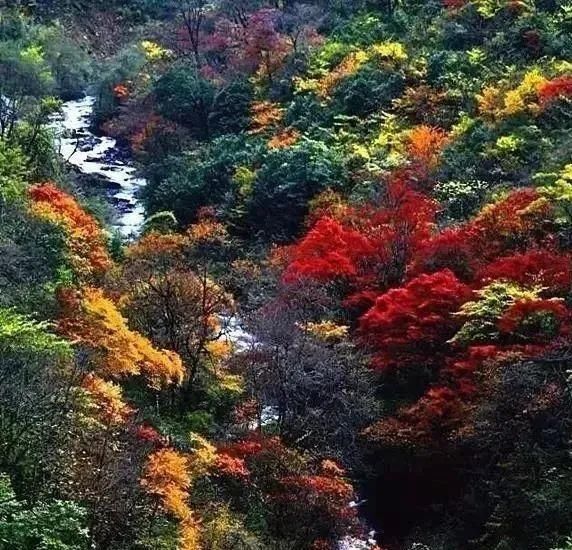 天府旅游名县|「文旅四川」遇见天府旅游名县丨相约北川，品文化游山水，自在生活乐逍遥