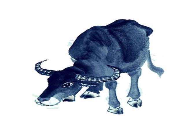 【驾驶员|长春出租车司机最严17项规定 这