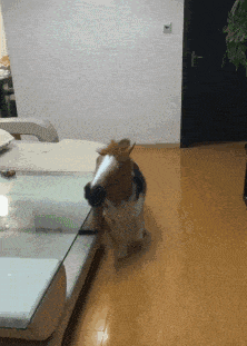 |搞笑GIF:听说怀孕了不能翘二郎腿,不然生出的孩子是这样的