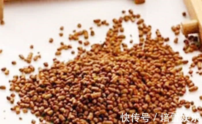 血胆固醇|查出高血脂还担心每天吃点此物,清理血管,血脂乖乖降下来