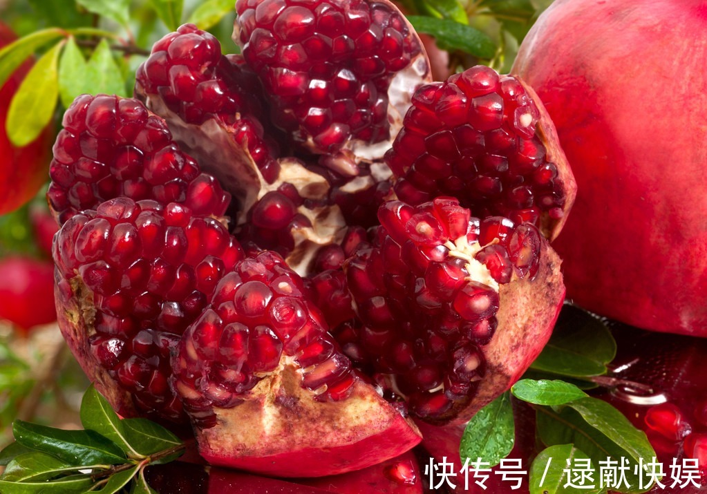 吃石榴别扔籽，扔盆里洗干净塞土里，一周变身清新石榴盆栽！