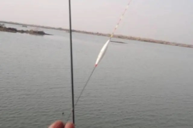 调目|户外野钓这样调漂,钓鱼大师都夸你,上鱼速度不要太快!