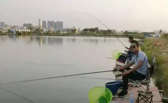 浮漂|鱼一旦不吃饵,我就只用这破解招式,千真万确,钓鱼人从不说谎