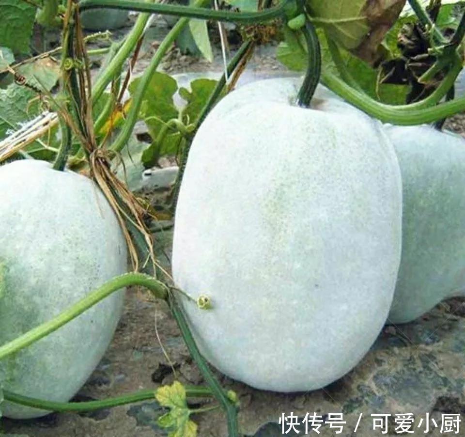 冬天用什么食材煲汤好?记得试试7种菜,营养丰富,价格不高