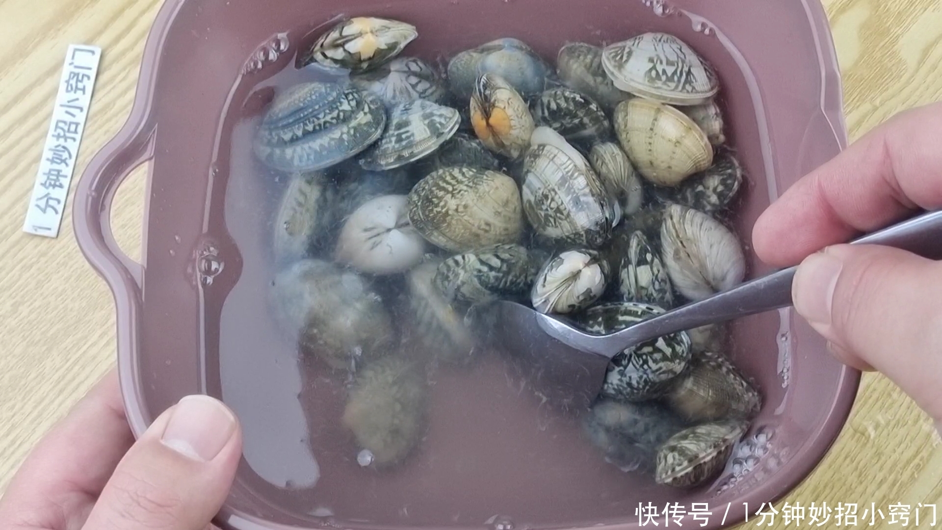 洗花蛤时,不要加盐了!老渔民:教你一招,花蛤疯狂快速吐沙